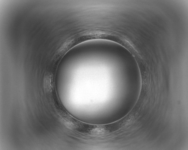 X0000059830119200510211223