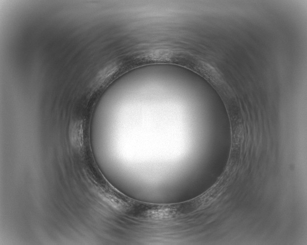 X0000059830120200510211223