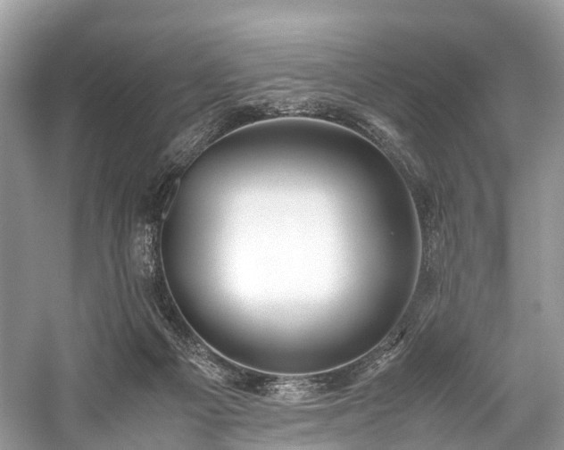 X0000059830121200510211223