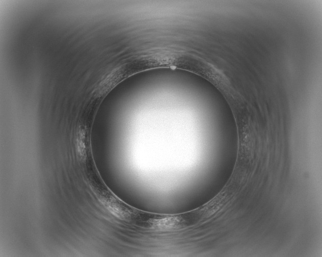 X0000059830122200510211223