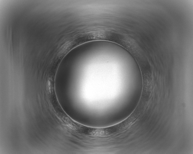 X0000059830123200510211223