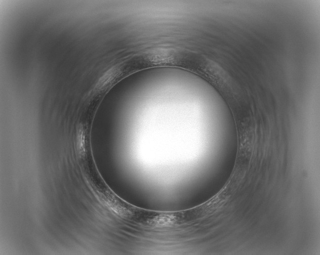 X0000059830124200510211223