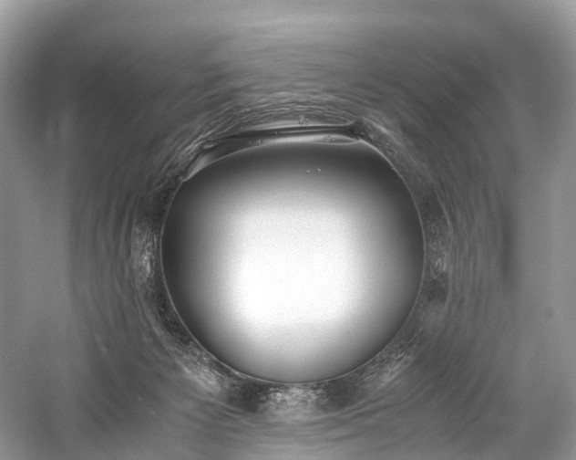 X0000059830125200510211223