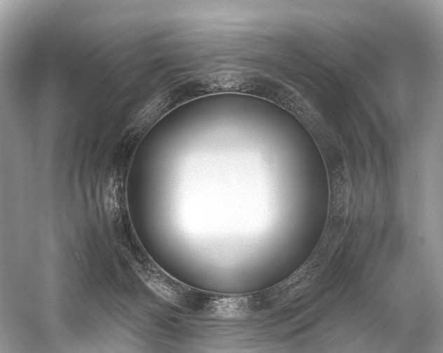 X0000059830126200510211223