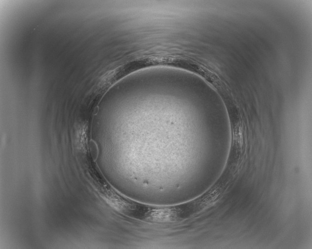 X0000059830127200510211223