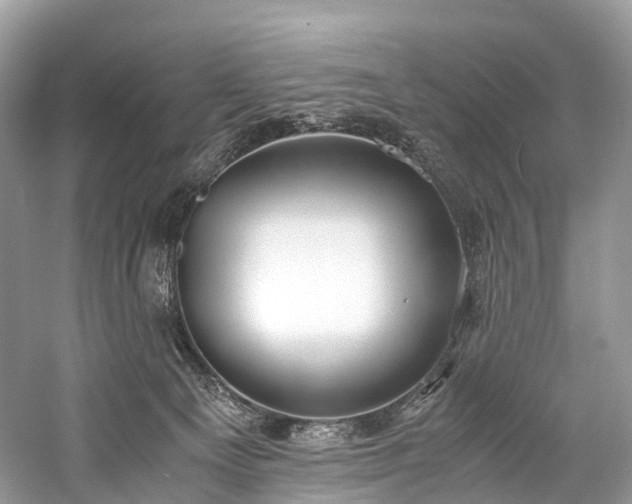 X0000059830129200510211223