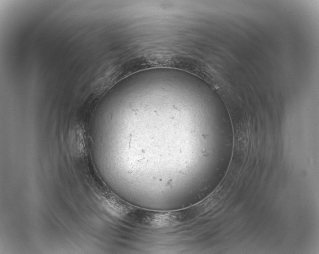 X0000059830130200510211223