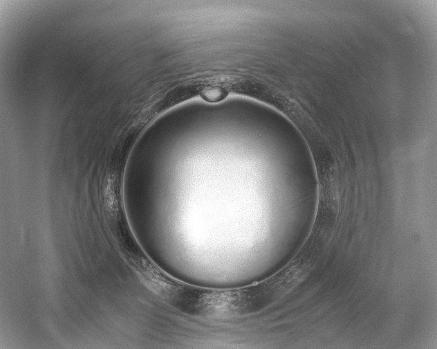 X0000059830131200510211223