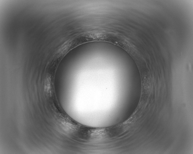 X0000059830132200510211223