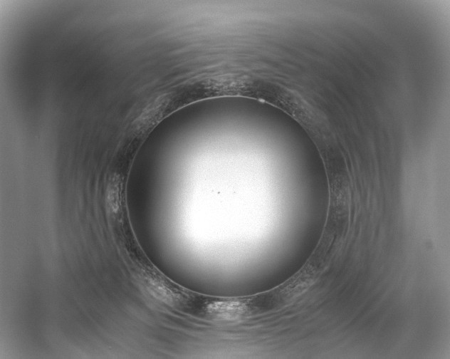 X0000059830133200510211223