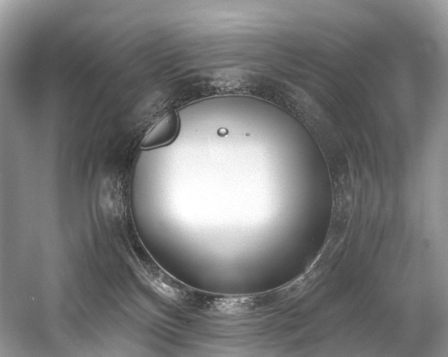 X0000059830136200510211223