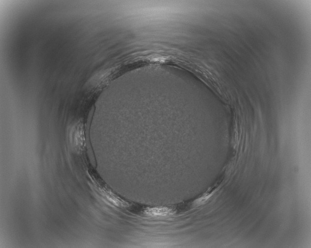 X0000059830137200510211223