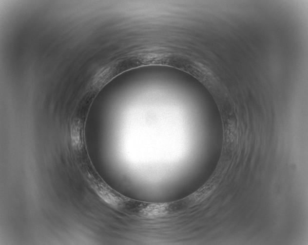 X0000059830138200510211223