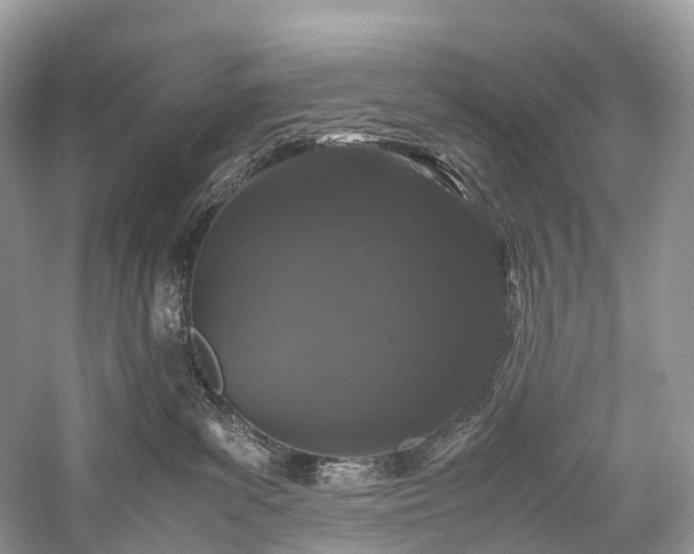 X0000059830139200510211223