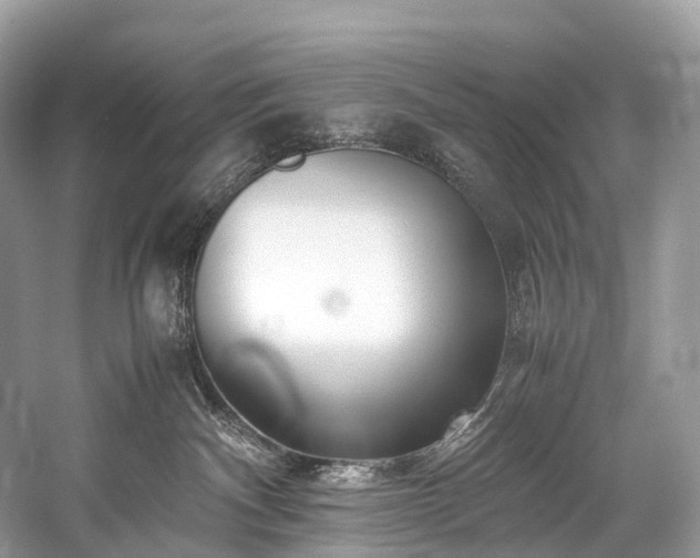 X0000059830140200510211223