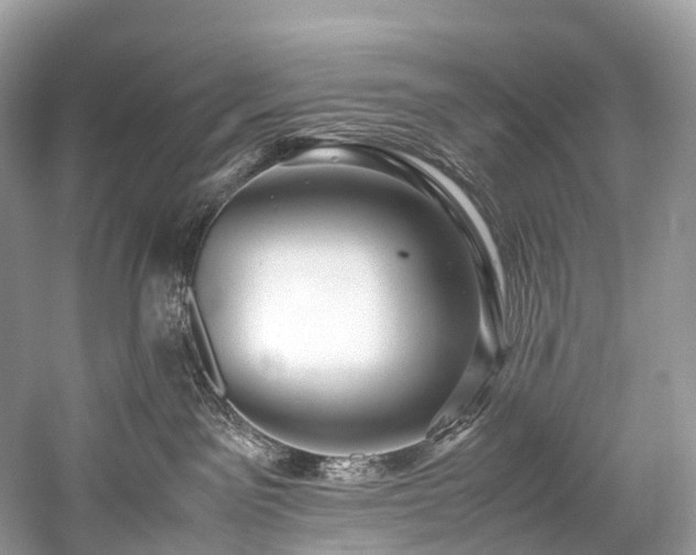 X0000059830141200510211223