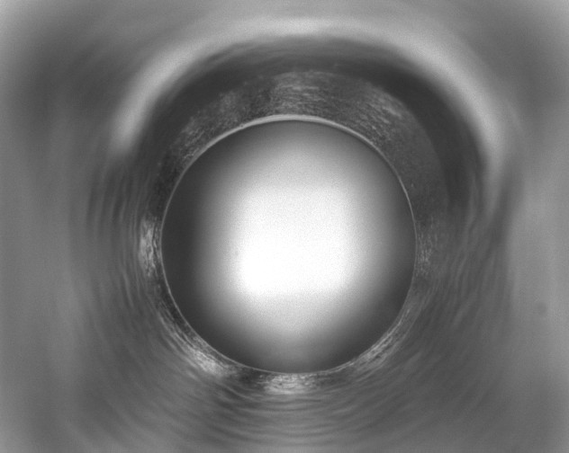 X0000059830142200510211223