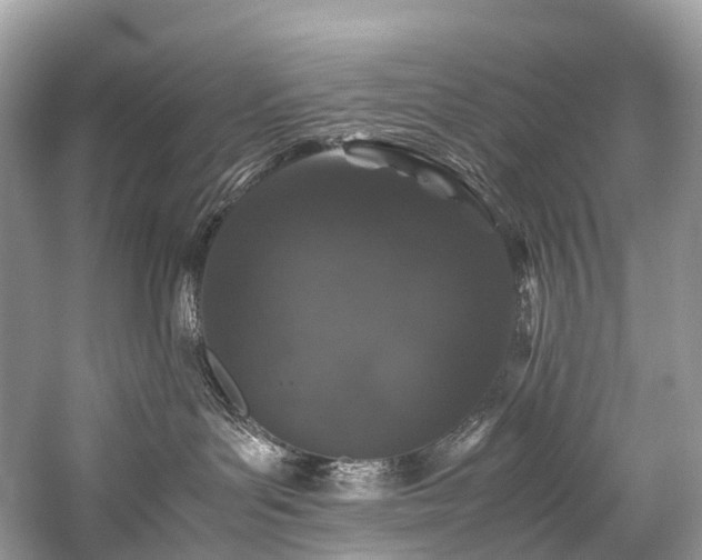 X0000059830143200510211223