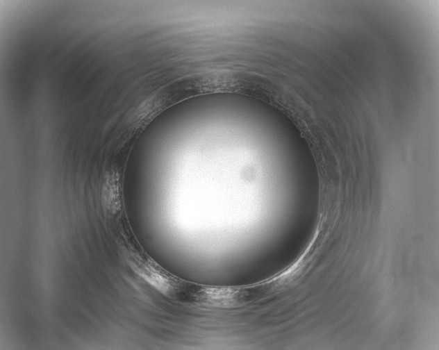 X0000059830144200510211223