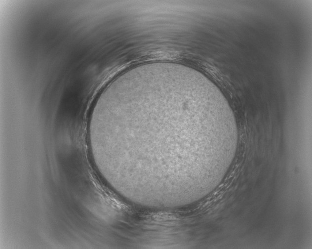 X0000059830146200510211222