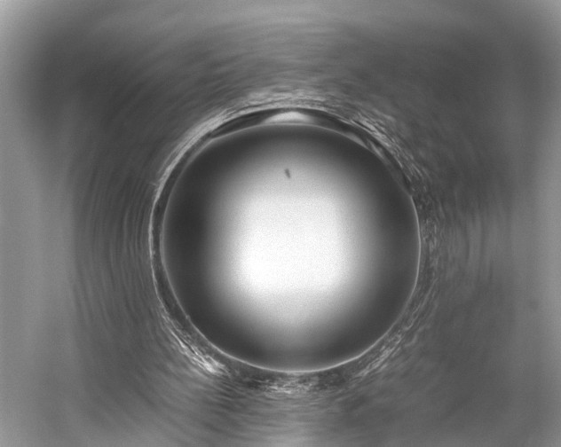 X0000059830148200510211222