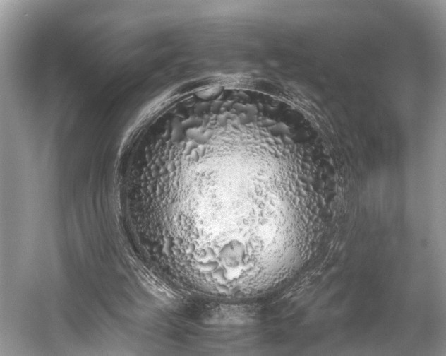 X0000059830149200510211222