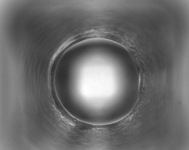 X0000059830150200510211222