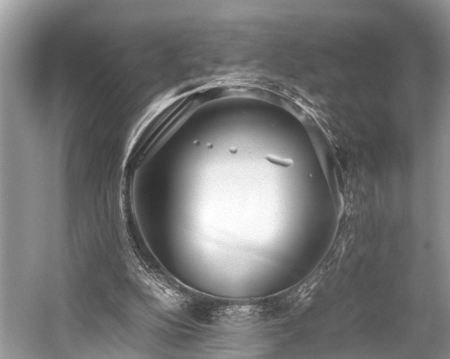 X0000059830152200510211222