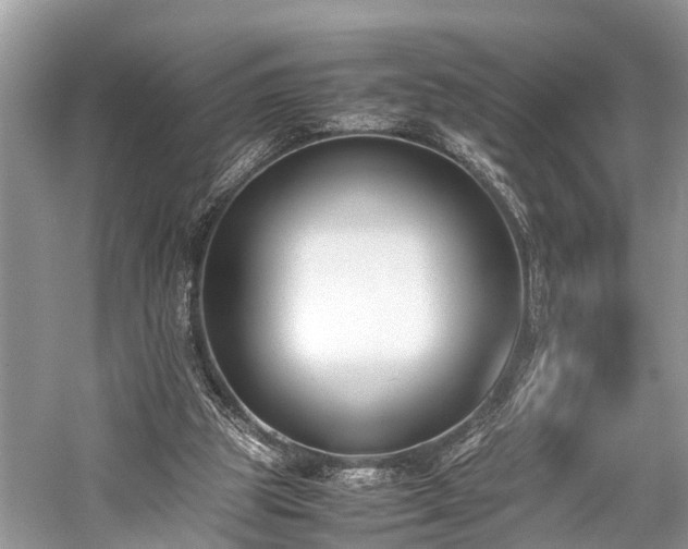 X0000059830153200510211222