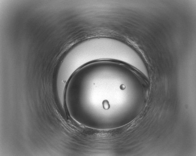 X0000059830154200510211222