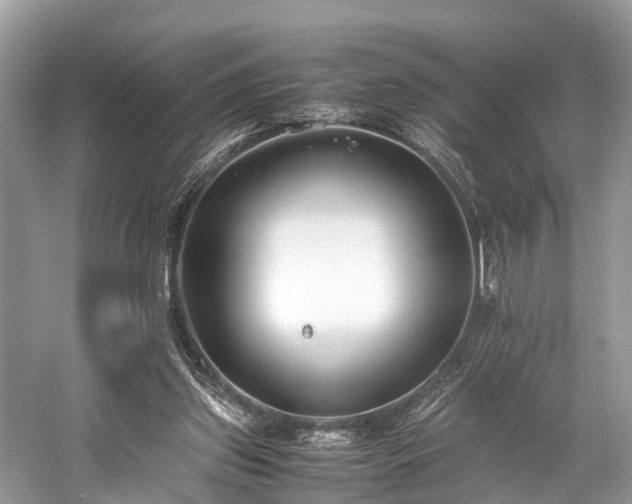 X0000059830157200510211222