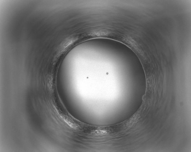 X0000059830159200510211222