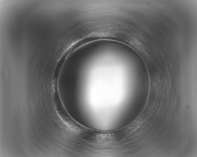 X0000059830160200510211222