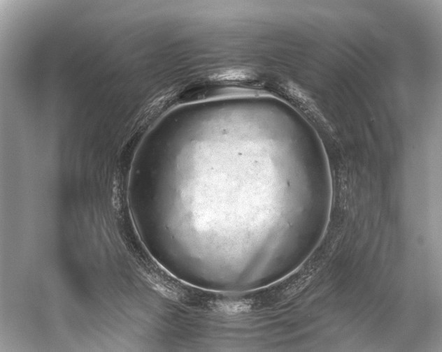 X0000059830161200510211222