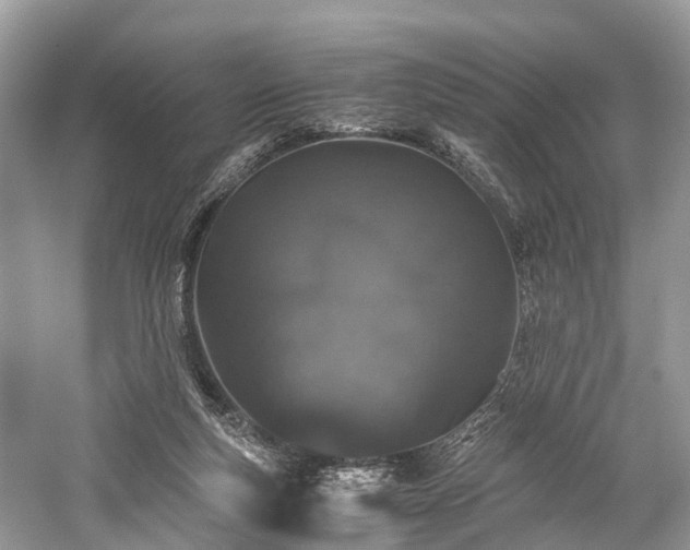 X0000059830163200510211222