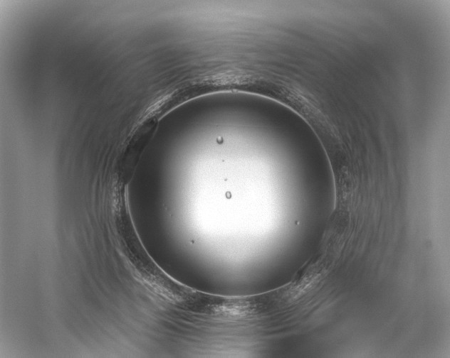 X0000059830164200510211222