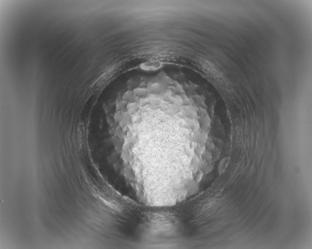 X0000059830165200510211222