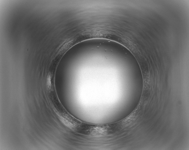 X0000059830166200510211222