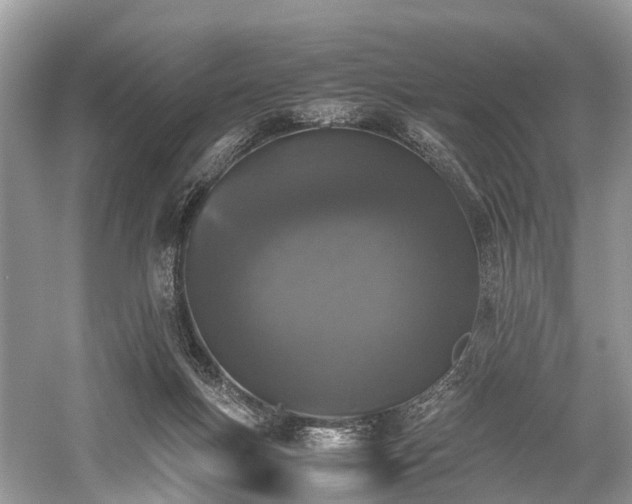 X0000059830167200510211222