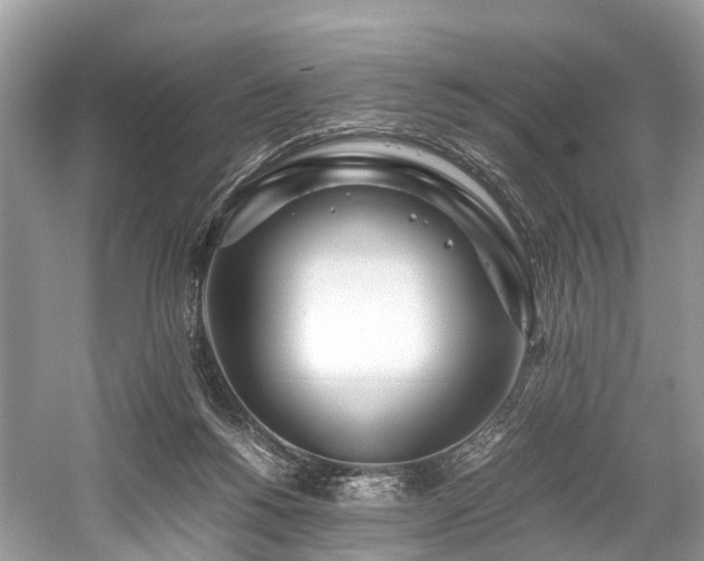 X0000059830168200510211222