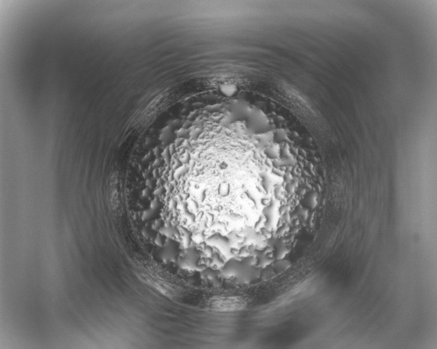 X0000059830169200510211222