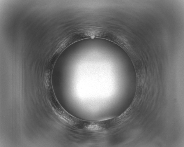 X0000059830171200510211222