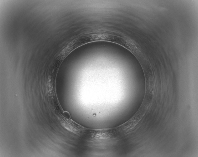 X0000059830173200510211222