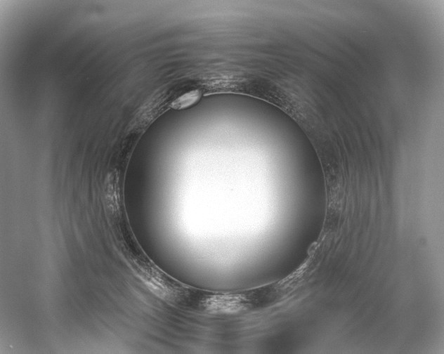 X0000059830179200510211223