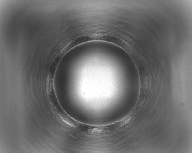 X0000059830180200510211223