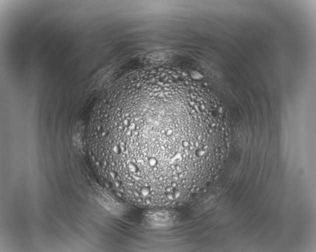 X0000059830181200510211223