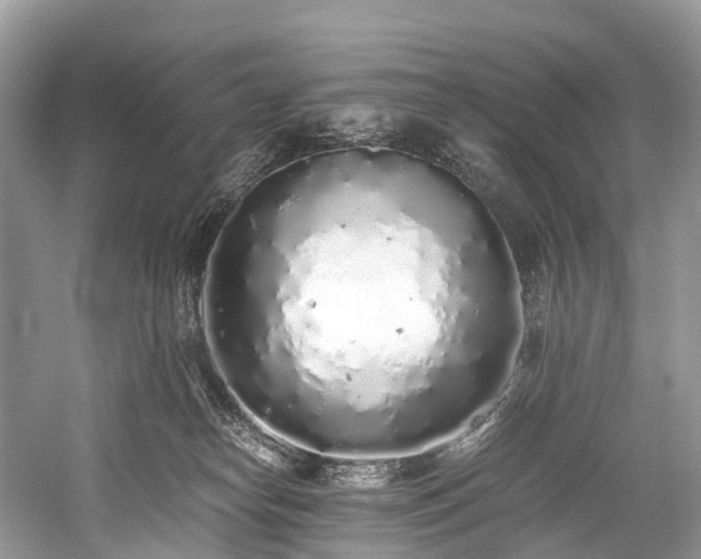 X0000059830182200510211223