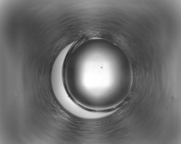 X0000059830185200510211223