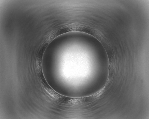 X0000059830186200510211223