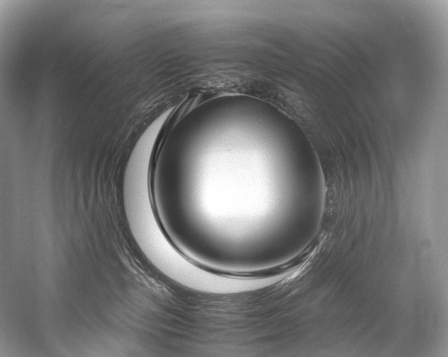 X0000059830187200510211223